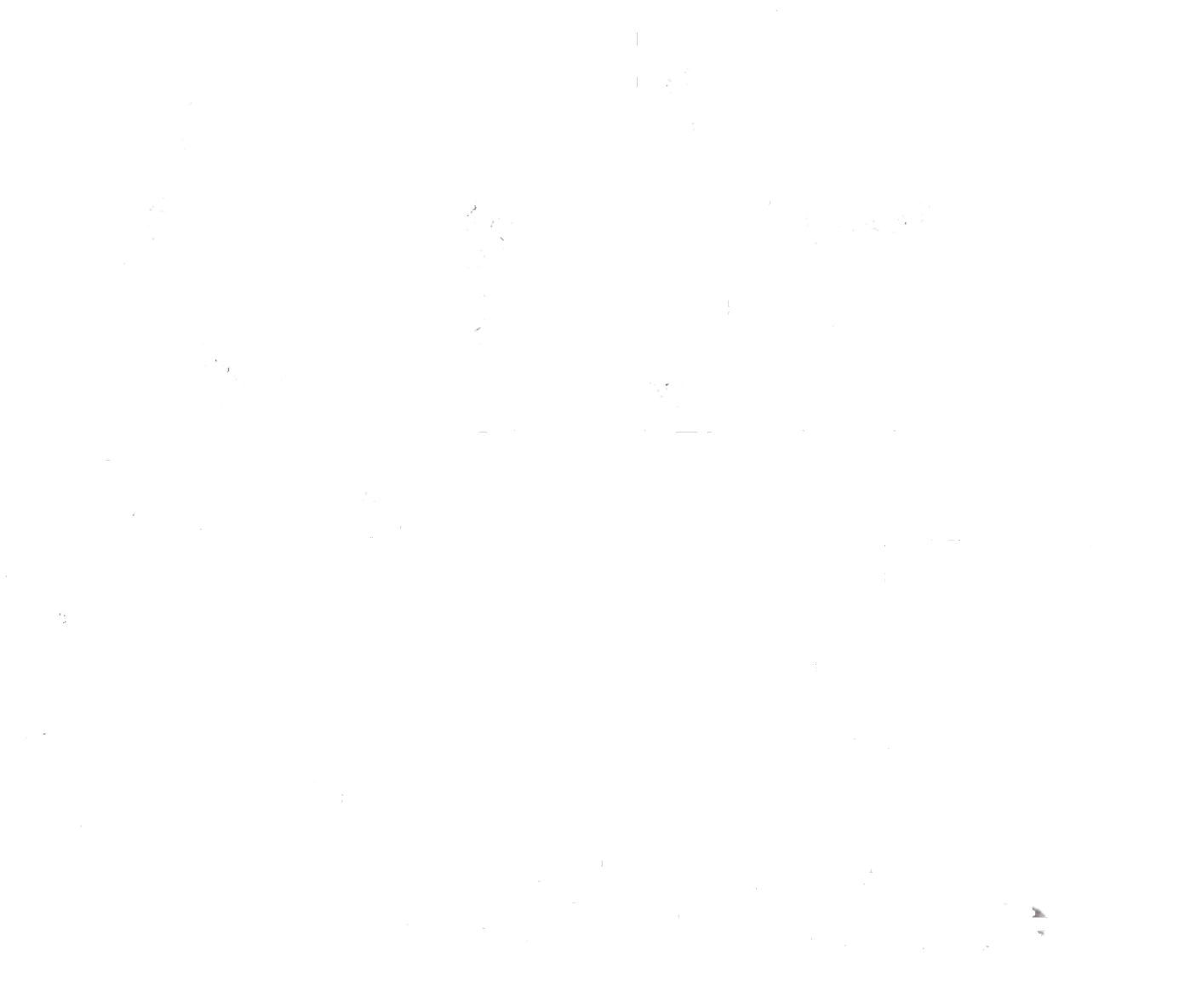 Logo_weiss_ALT